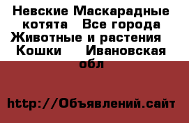 Невские Маскарадные котята - Все города Животные и растения » Кошки   . Ивановская обл.